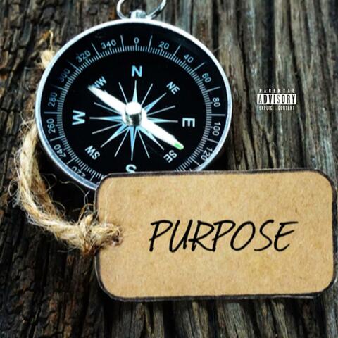 Purpose