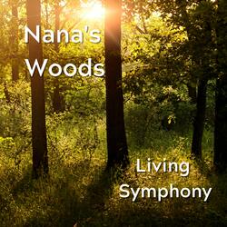 Afternoon in Nana's Woods