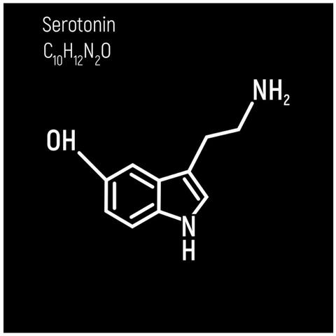 Serotonin