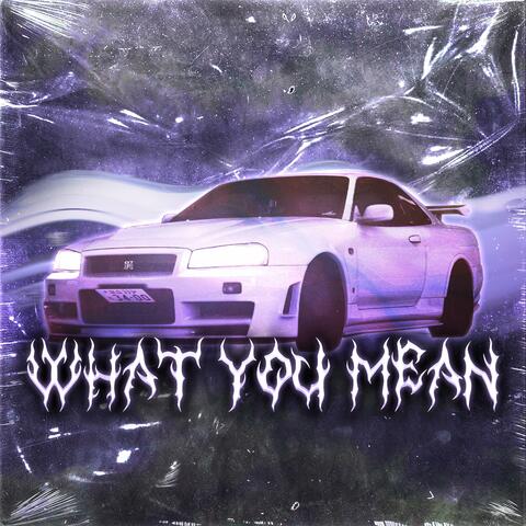 What You Mean
