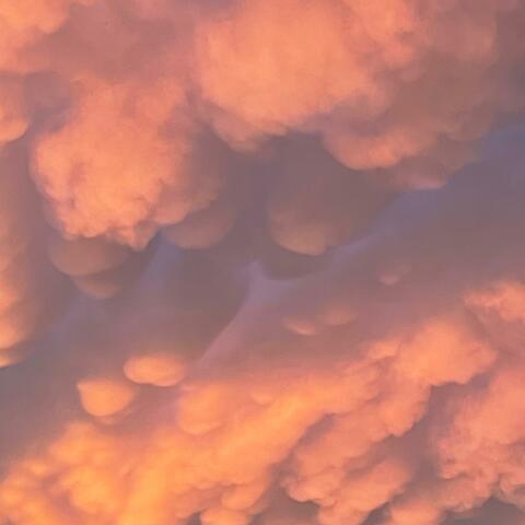 MAMMATUS