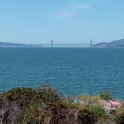 California Dreaming