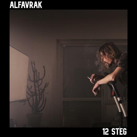 12 steg