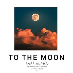 To The Moon (feat. Nelwayne The Developer, Boombap Dlow & DM3)