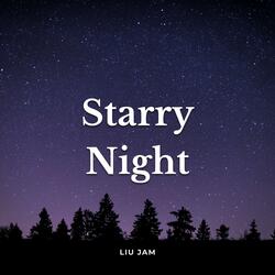 Starry Night
