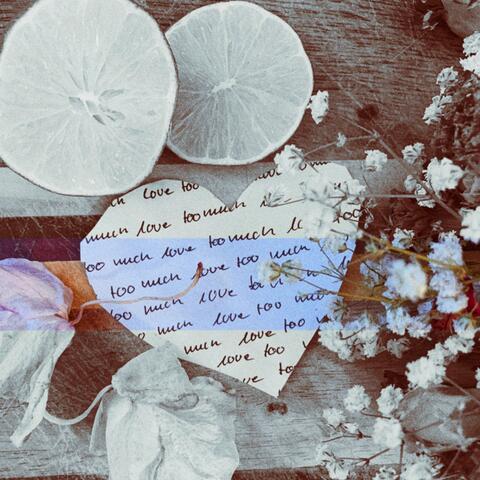 Love Too Much