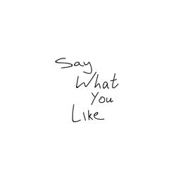 Say What You Like