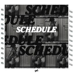 SCHEDULE