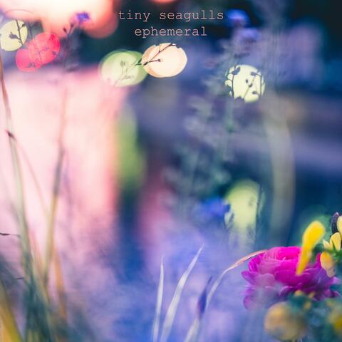 ephemeral