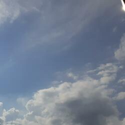 Fly Away (feat. Diana)