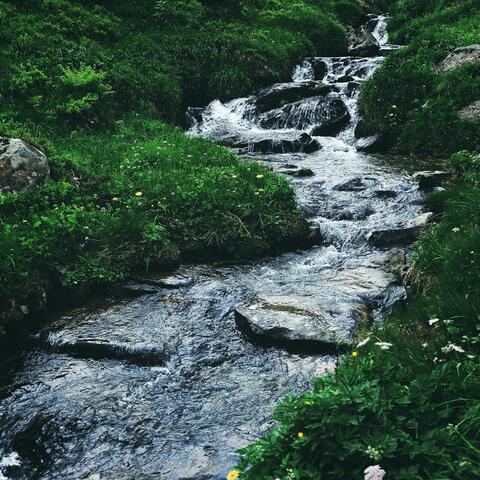 Gentle Stream
