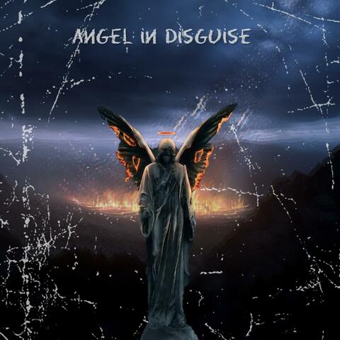 Angel In Disguise