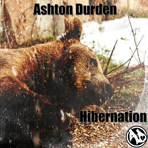 Hibernation