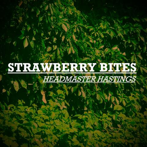 Strawberry Bites