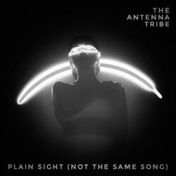 Plain Sight (Not The Same Song) (feat. Silke)