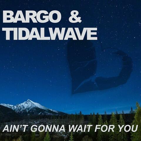 Ain't Gonna Wait For You (feat. Tidalwave) [Radio Edit]