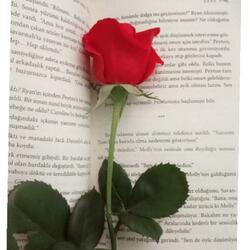 Azizcan unuttular seni aşk