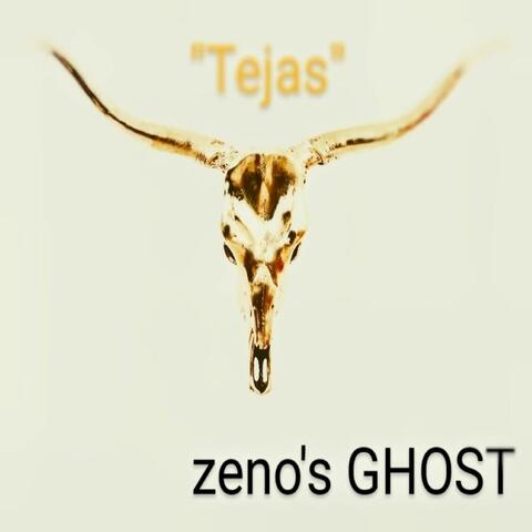 Tejas