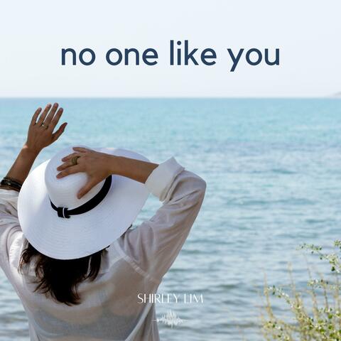 No One Like You