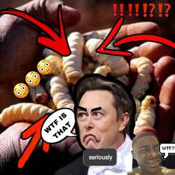 "WTF Is A Witchetty Grub" Elon Musk (28th June 1971 To 19th August 2023)