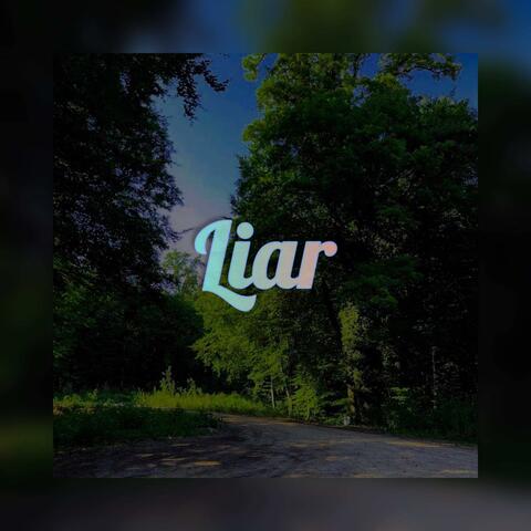 Liar