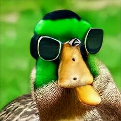 pimp duck