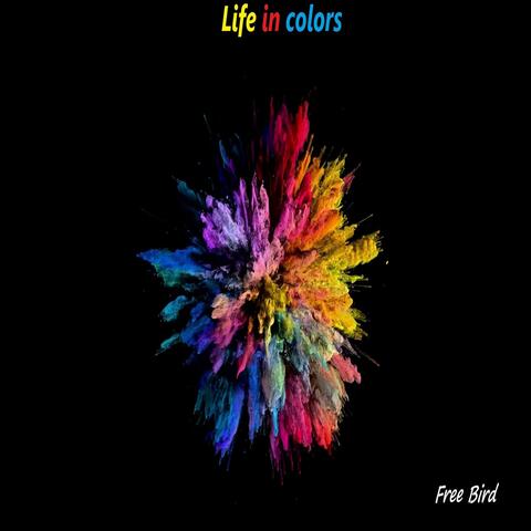 Life In Colors