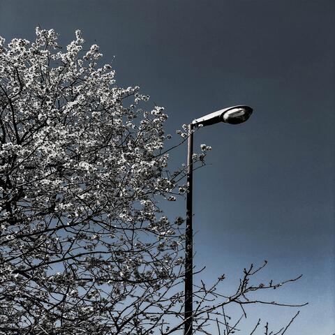 Promise Me (feat. ezrou!)