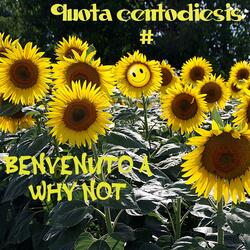 Benvenuto a Why Not