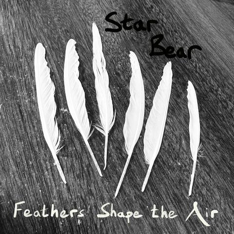 Feathers Shape the Air