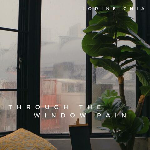 Through The Window Pain