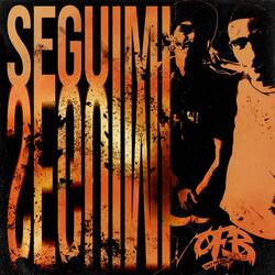 SEGUIMI (feat. Fl3tcher & Brostek)