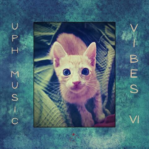 Vibes VI