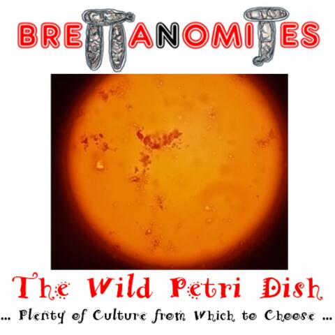 The Wild Petri Dish