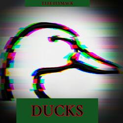 Ducks