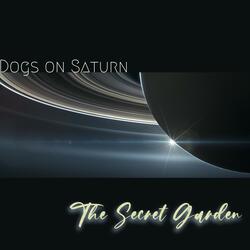 Dogs on Saturn