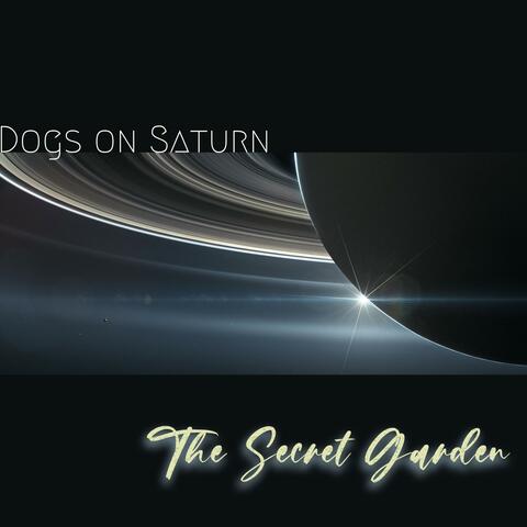 Dogs on Saturn