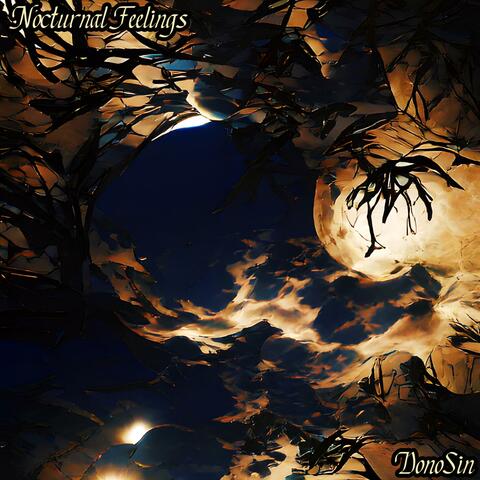 Nocturnal Feelings