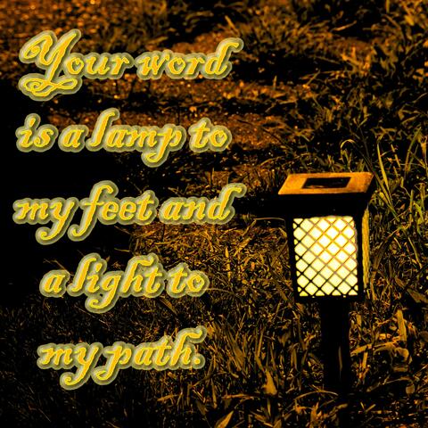 Through the Darkest Night