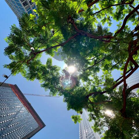 Not Quite Breaking My Heart