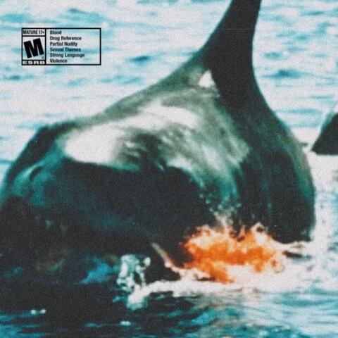 SHARK ATTACK! (PROD. MIAMI DAVE)