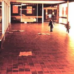 Orange Floors