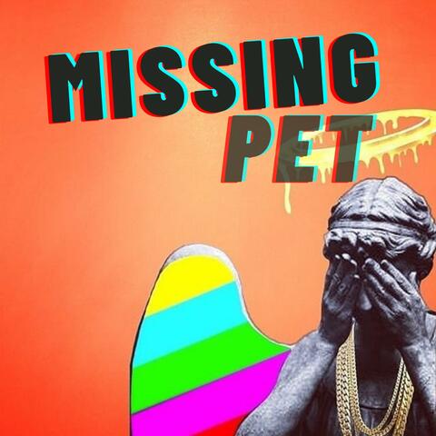 My House is Far From Home