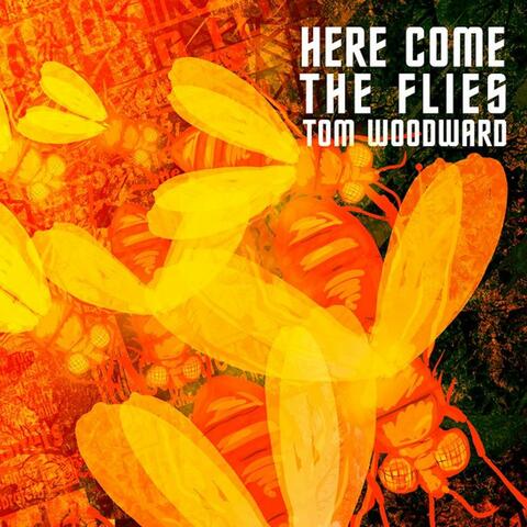 Here Come The Flies