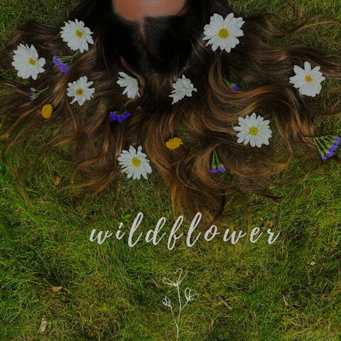 wildflower