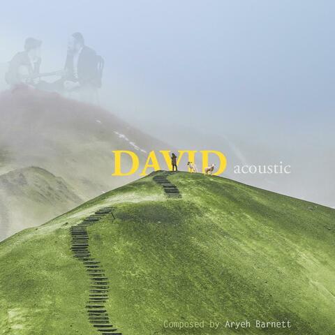David (feat. Aryeh Barnett)