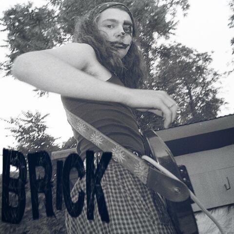 BRICK