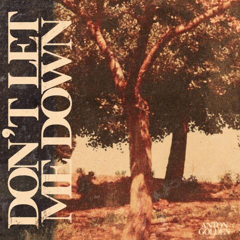 Don't Let Me Down
