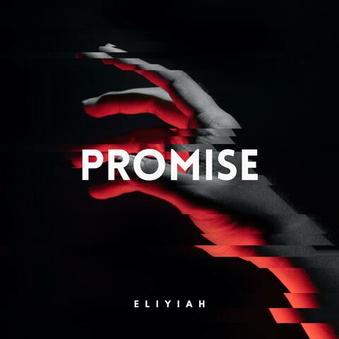 Promise