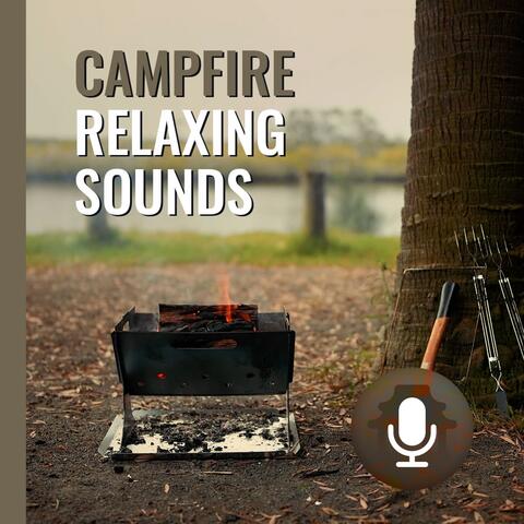 Australian Bush Campfire Sounds and Birds for Relaxation